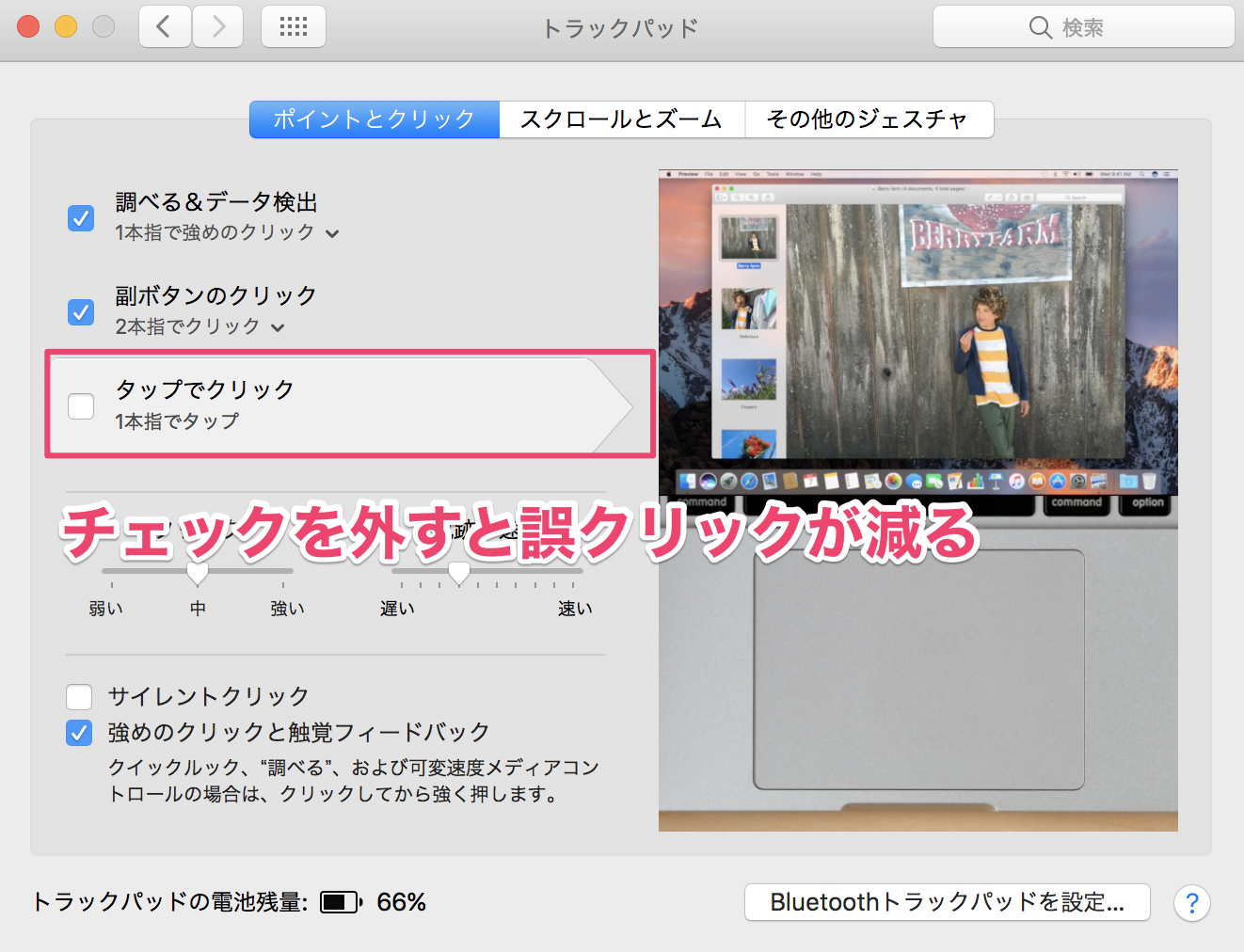 トラックパッドの設定画面