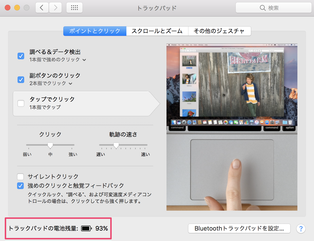 Magic Trackpad2の電池残量