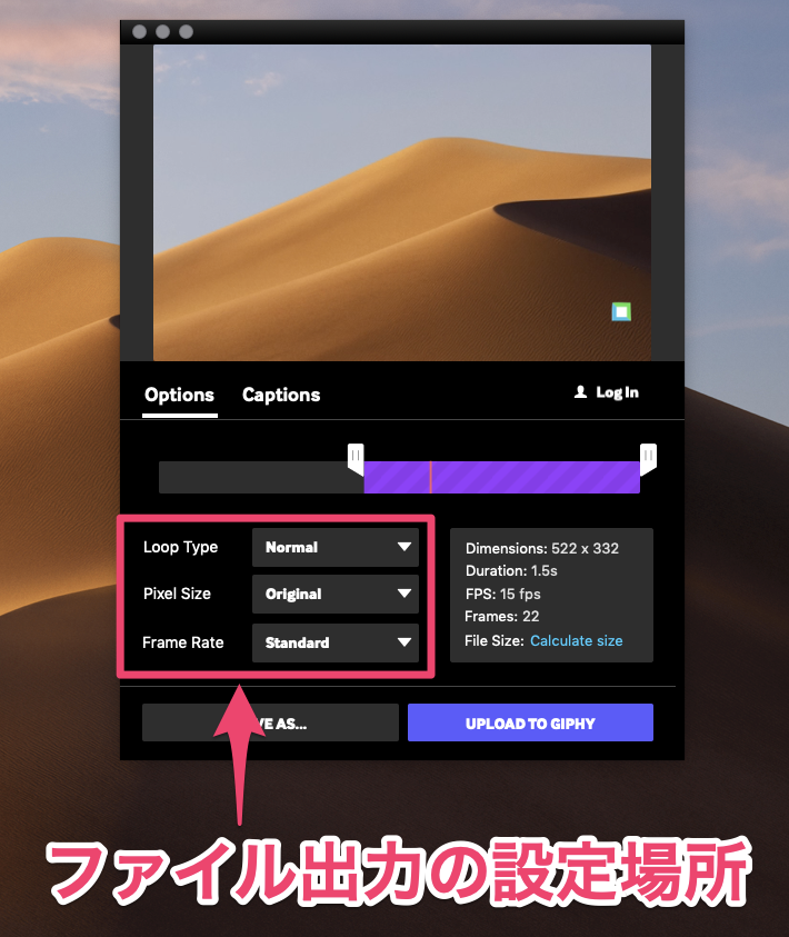 ファイル出力の設定画面