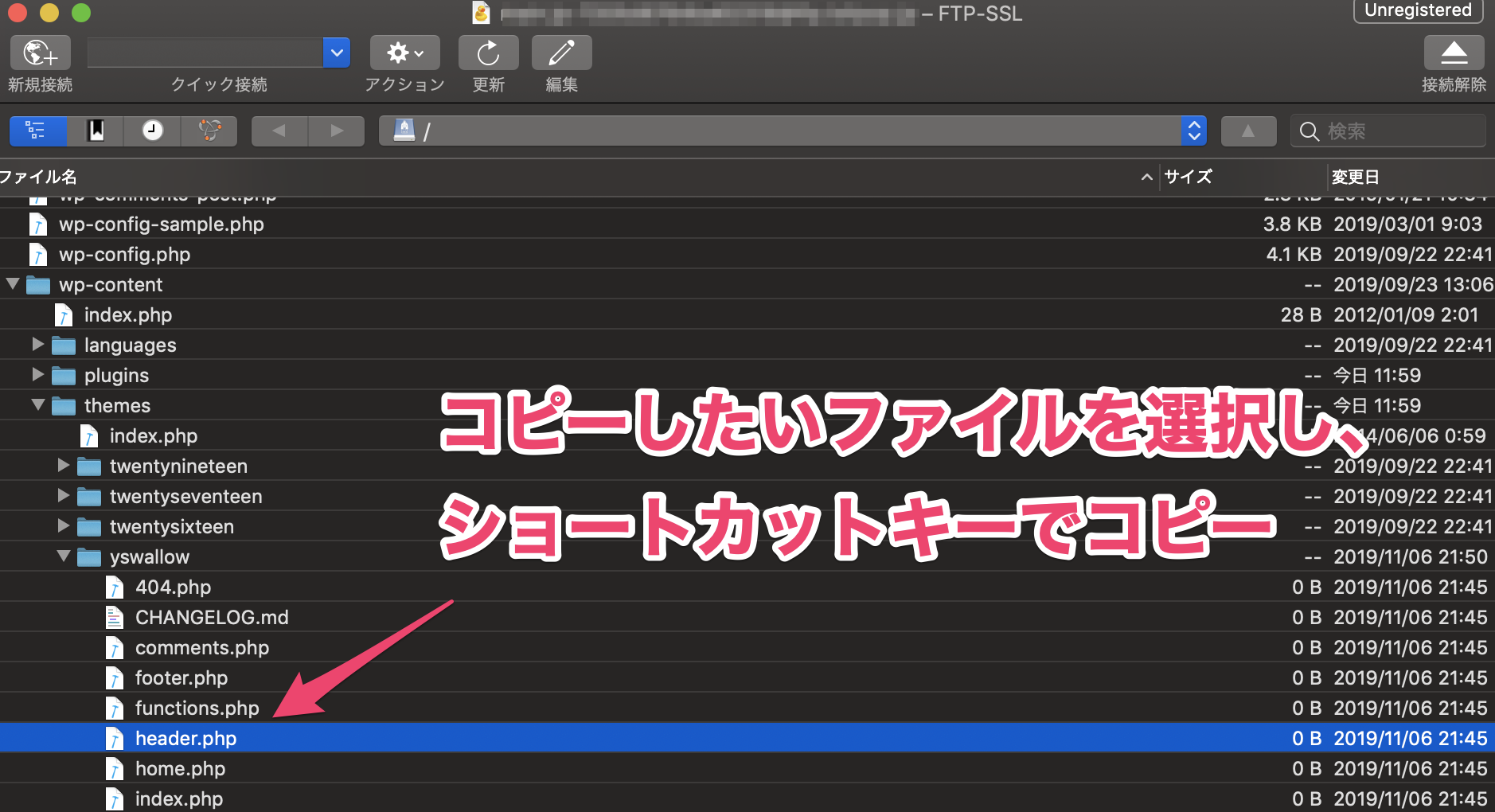 コピー対象のファイルを選